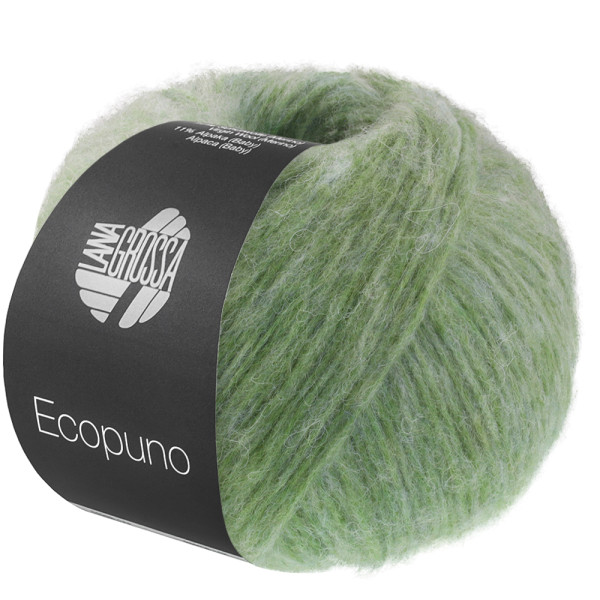 Produkt Abbildung ecopuno-sfumato-lana-grossa-13340710_K.jpg