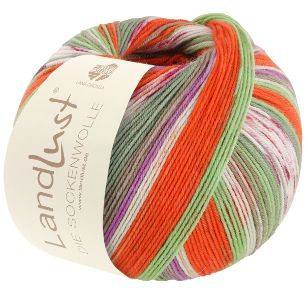 Lana Grossa Landlust Die Sockenwolle 313 Orange/Creme/Fuchsia/Jade/Taupe/Graugrün 100g
