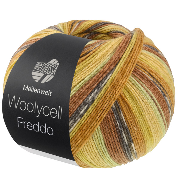 Produkt Abbildung meilenweit-100-woolycell-freddo-lana-grossa-14276048_K.jpg